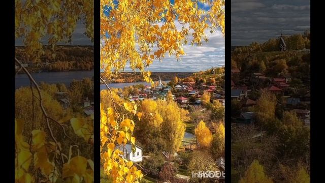 Золотая осень🧡.mp4