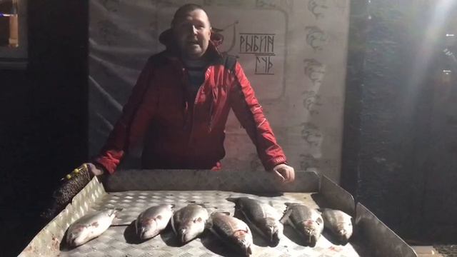 хороший улов форели