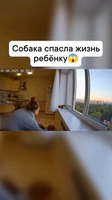 1000090715.mp4
