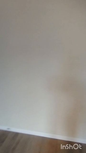 1000152725.mp4