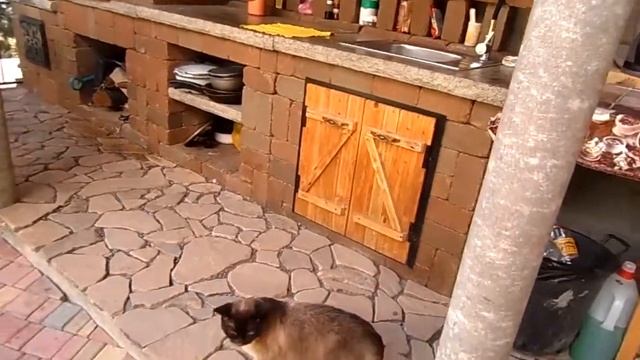 1000003093.mp4