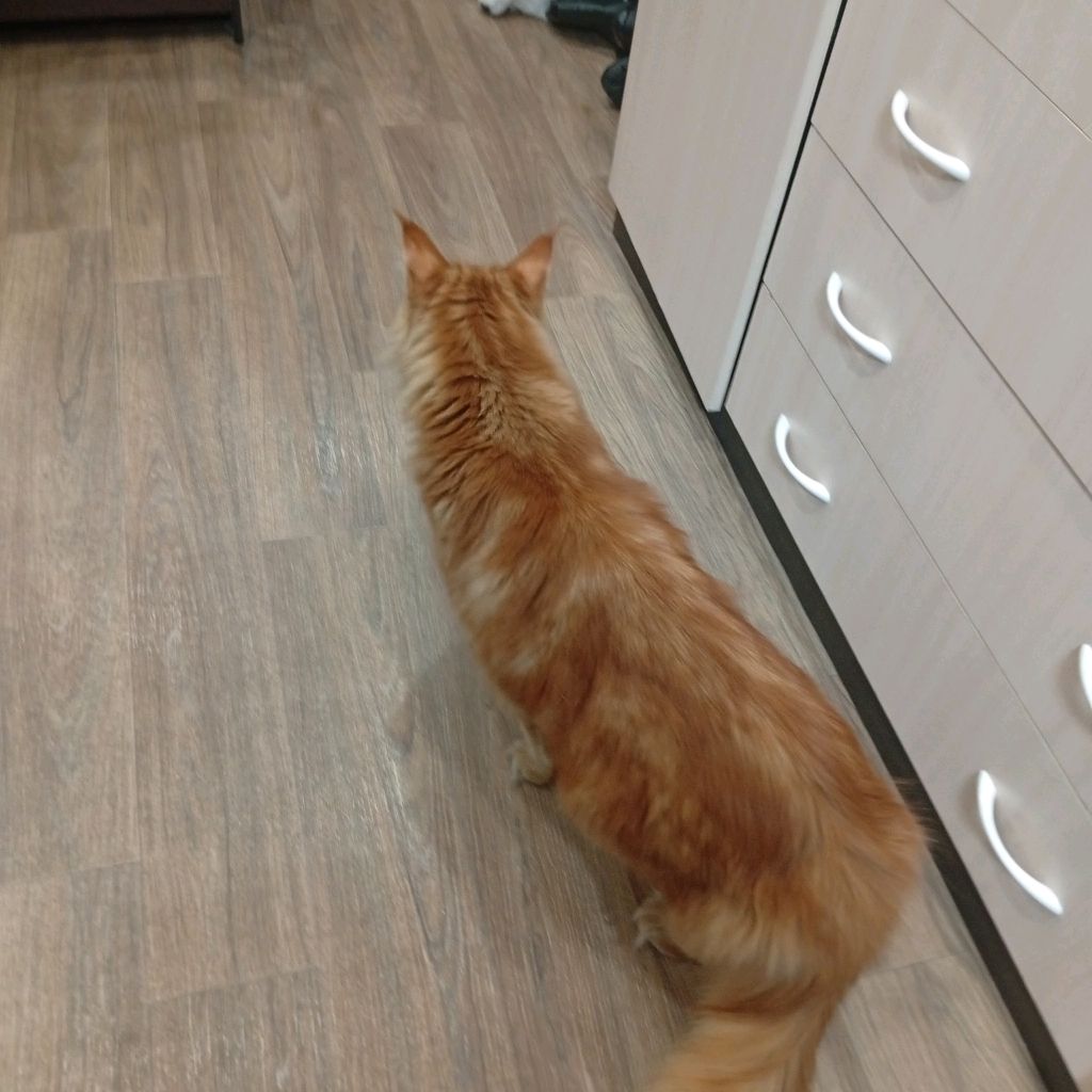 меня зовут Дмитрий