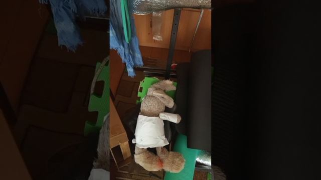 ВБЕСИЛ ЗАЙЦУ ДВЕРНОЙ ЗВОНОК!
СКУЛБОЙ В РЕАЛЬНОЙ ЖИЗНИ! 2 Концовка
