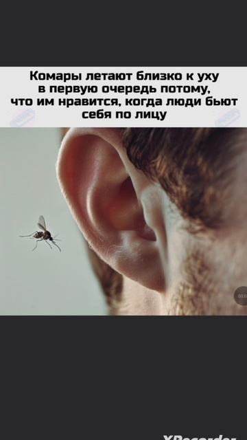 А что рил