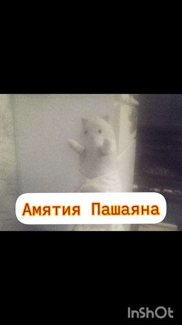 Амятия Пашаяна На Кваралтоте Вместо Песня Милана Учайкина Песня 