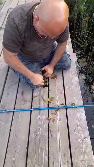 ♥️👍 Ленки🐟,Санкт-Петербург Приозерский район