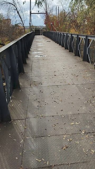 Железный мост над речкой Лугань в парке Горького 12.10.2025
