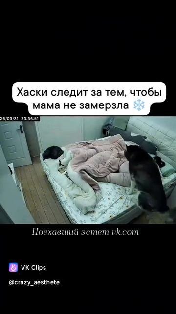 VID_20251012_075733_057.mp4