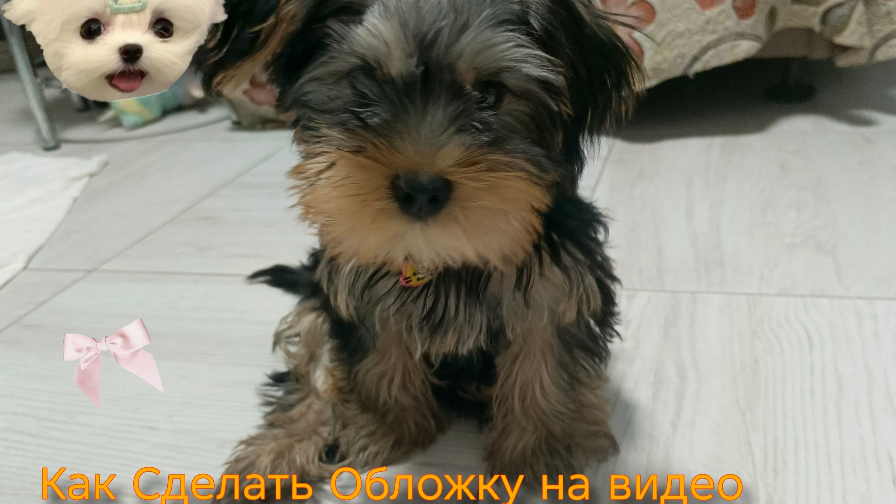Как сделать Обложку на видео