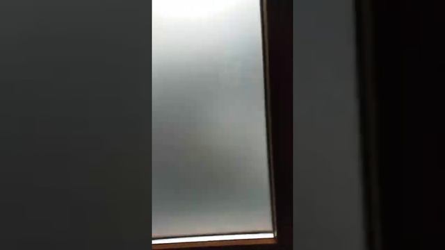 1000003091.mp4