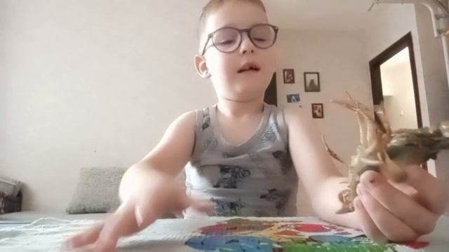 Рак питомец - Доширак😁