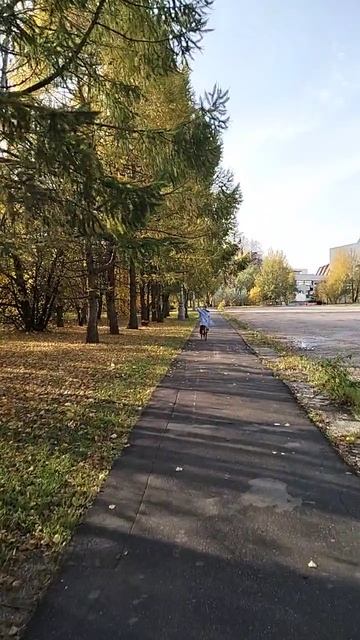 VID20251009143619