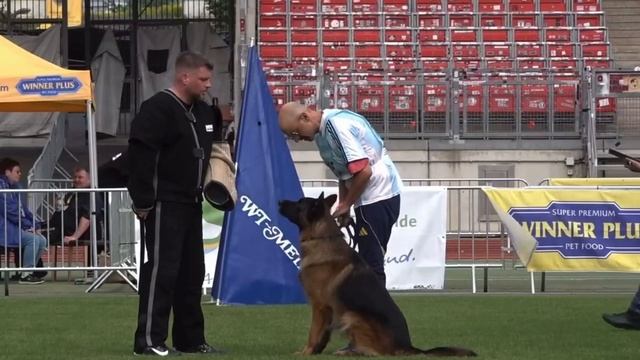 8 Отл. HECKLER de Casa Celta  1005. BZSZ 2025 немецких овчарок