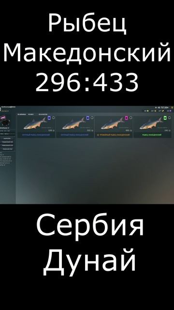 Троф Рыбец Македонский. Сербия Дунай. The Fisher Online. Фишер Онлайн