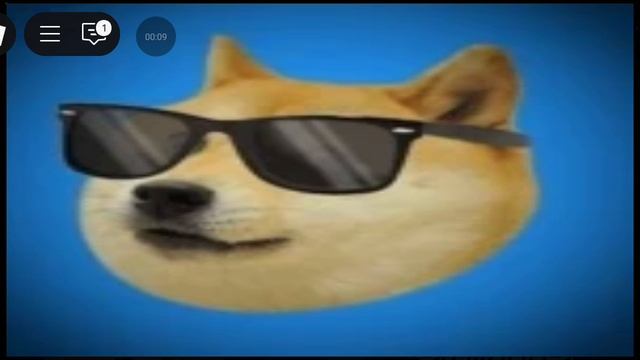 Doge