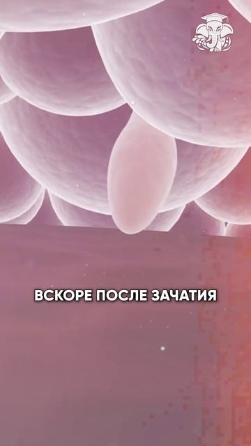 Тест-полоска. маленькая лаборатория