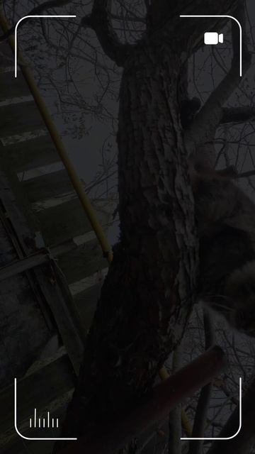 Худею день 2/360