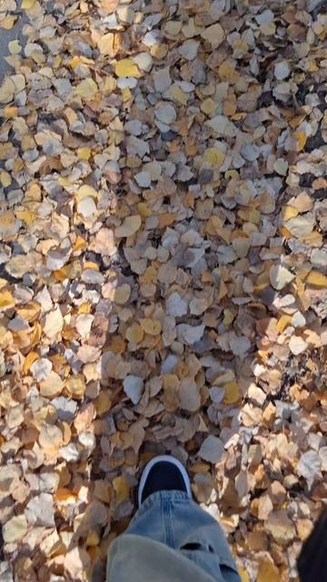 Осення пора, очей очарованье... 🍂🍂🍂