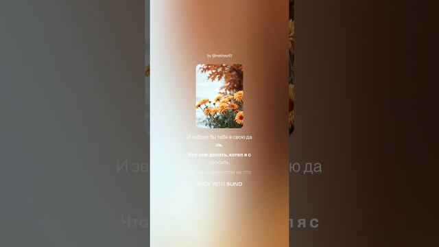 Хризантемы