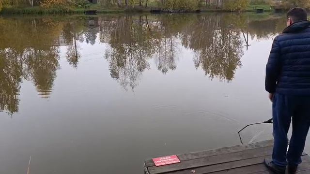 Дорое утро.