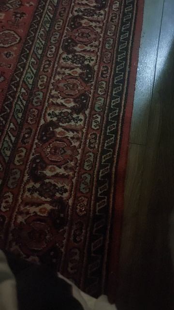 Я Бусю Спалил