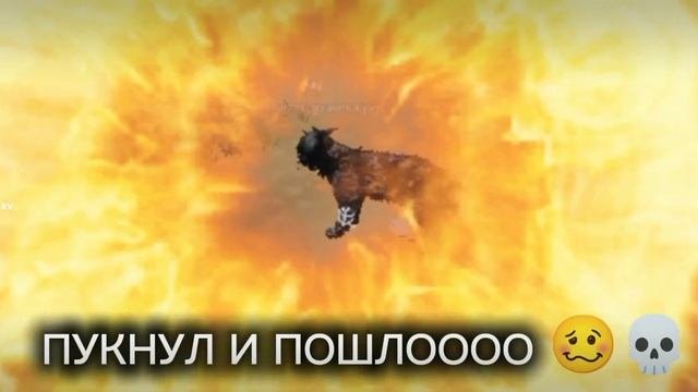 1000010278.mp4