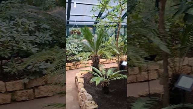 Выставка овощей гигантов,2 Ботанический сад, Москва🥕🌽🧅🫜❤️🔥Таисия и мама эфире, Октябрь2025