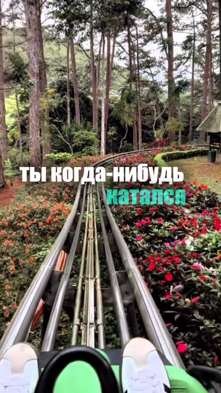 🌿 Ты катался когда-нибудь на электросанях через джунгли к водопаду? А по стеклянному мосту в неб...