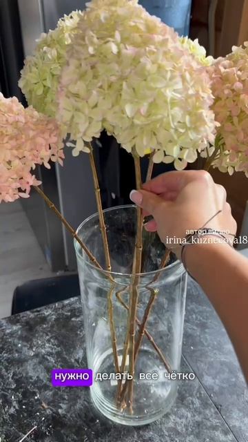 Стабилизация цветов🌺