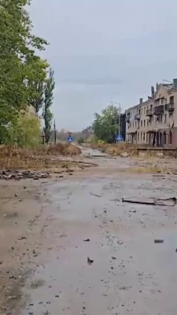 Новогродовка Донецкая область.  По состоянию на 11.10.2025.