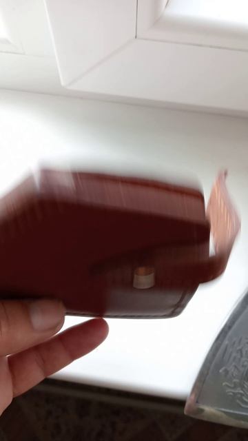 1000002593.mp4