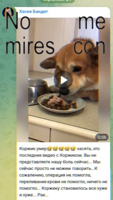 1000027616.mp4