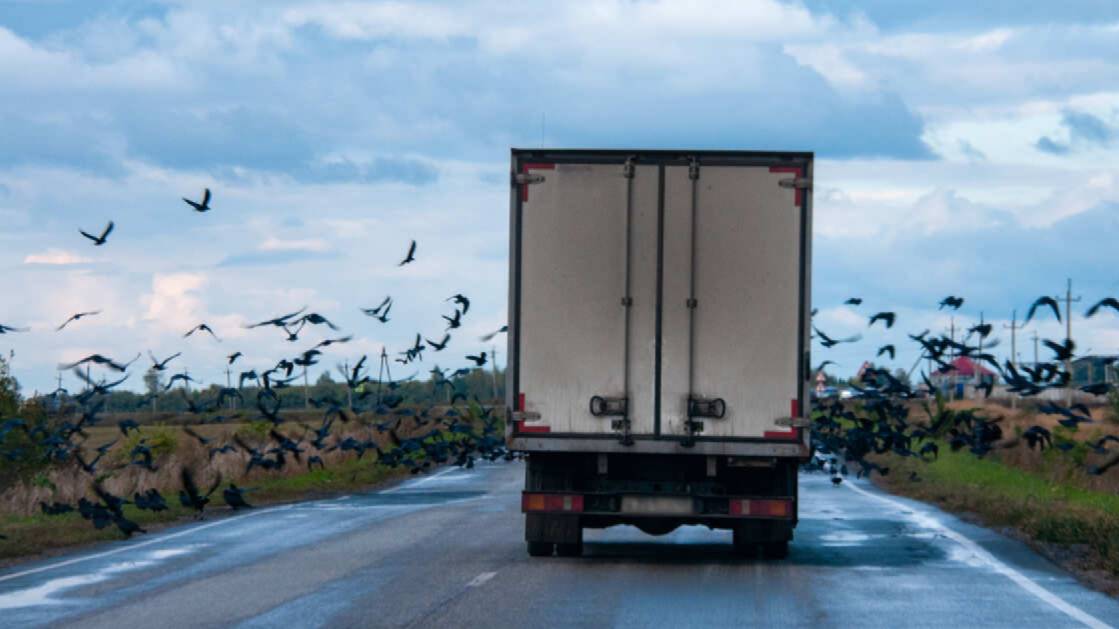 Эстония планирует прекратить использовать дорогу, проходящую через РФ