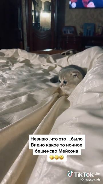 😺😺😺😺