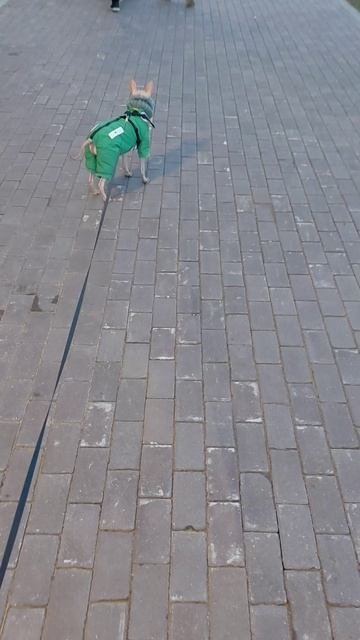 1000018063.mp4