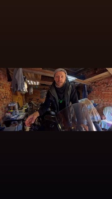 Мастхэвный мот