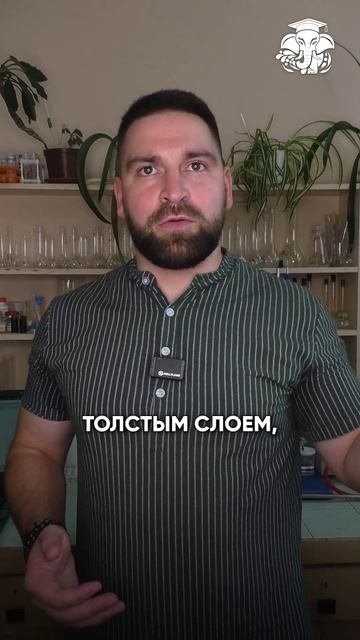 Кто повелитель планеты