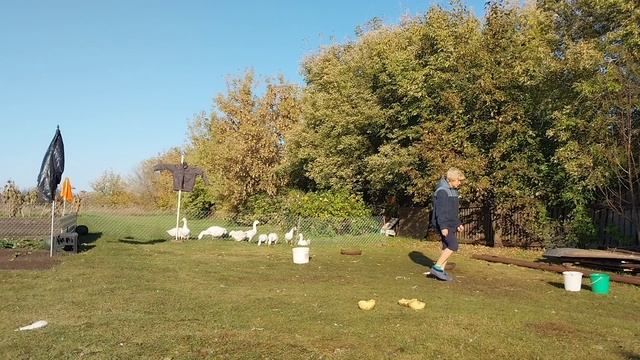 ИЗ ГОРОДА В ДЕРЕВНЮ. Хроника дня.
