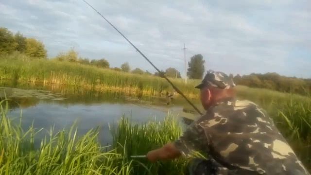 Ловля карася.mp4