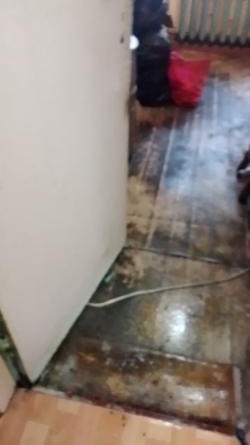 Приехал обработать от тараканов