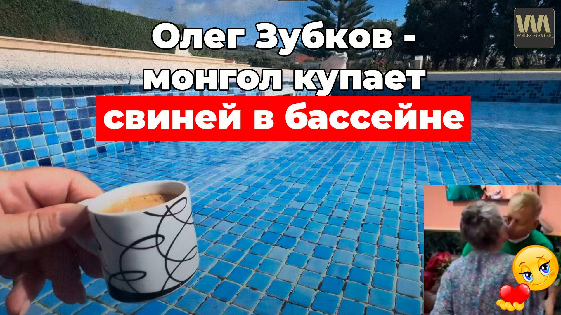 Олег Зубков-монгол купает свиней в бассейне Португалии 12 октября