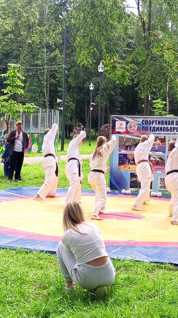 Связка из карате