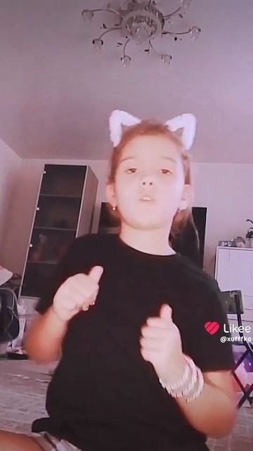 чиловый котик