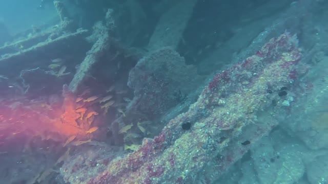дайв-сайт Neptune рэк дайвинг в Дубае, ОАЭ