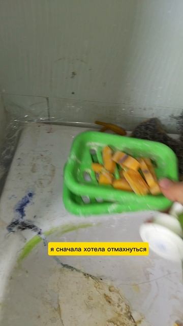 Мечтаю стать хорошей женой и хозяйкой❗