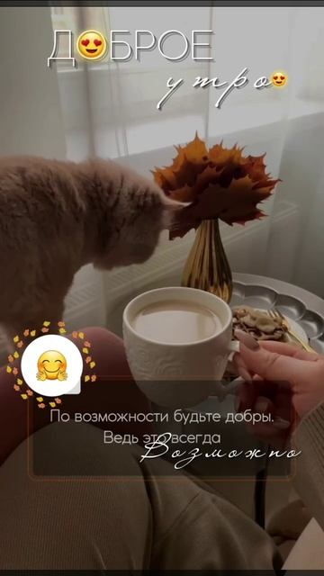 Доброе утро