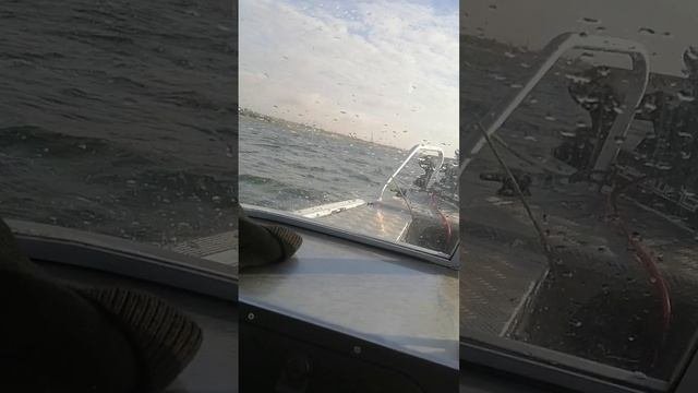 VID_20251012_083759