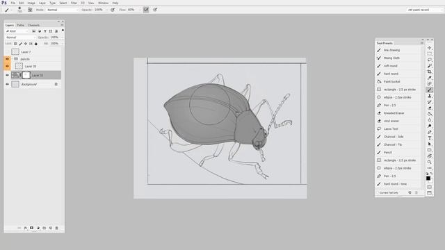 03 - Using Tone To Describe Form