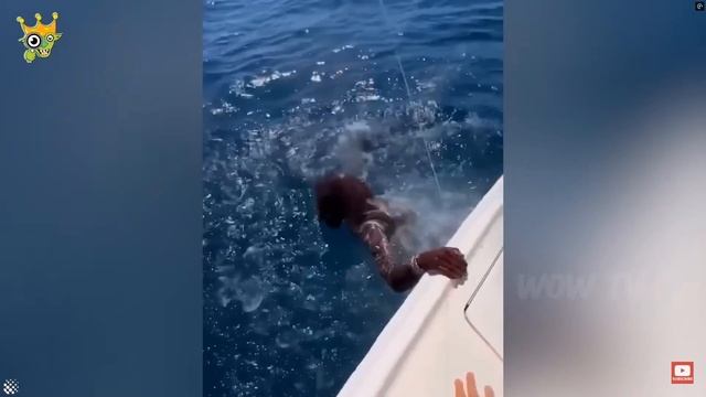 случаикогдаЖИВОТНЫЕвЯРОСТИилиОТЖИГАЮТ