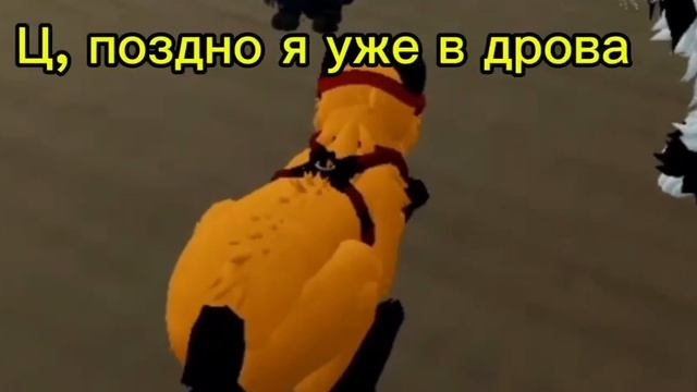 Пов:шиповник кассир||WCUE||